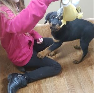 Meet your Posher, Aubrey